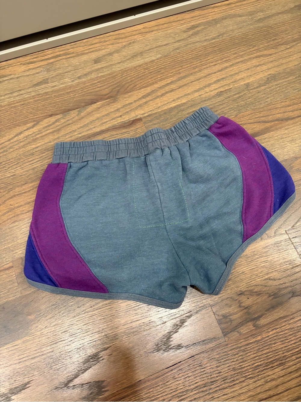 Aviator Nation Gray Shorts with Purple Panels & Rainbow Logo - Picture 2 of 3